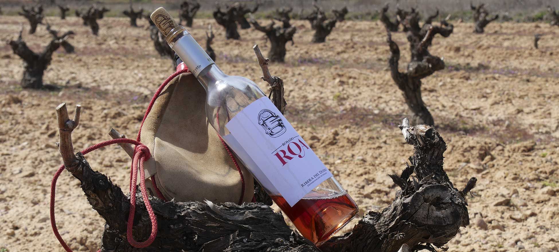 Tinto Roa Rosado Ribera del Duero